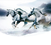 省内排行前十，，，，，，设计、施工实力排前